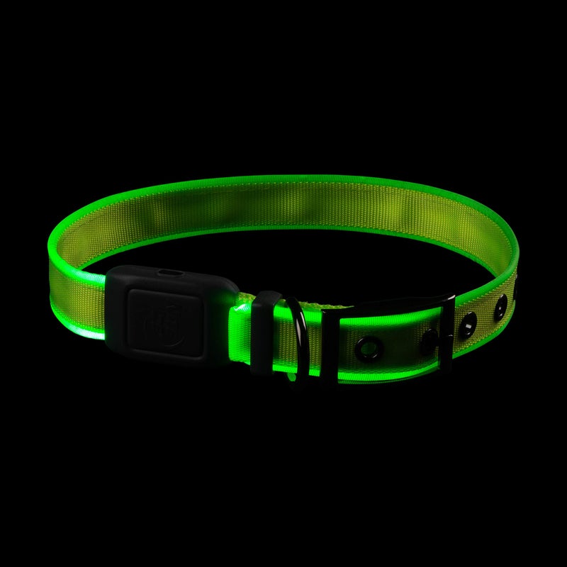 Nite Ize NiteDog Rechargeable LED Collar - Light Up Dog Collar with Durable Metal Buckle - Water-Resistant & Rechargeable Collar - Dog Supplies for Night Activities - Large, Lime - Image 4